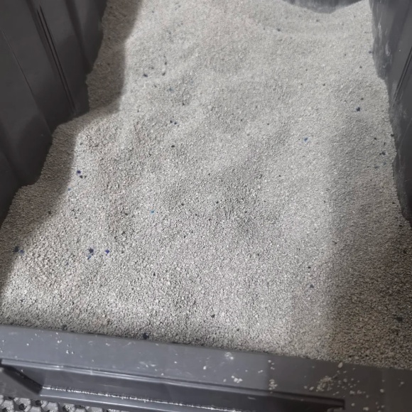 矿砂钠基猫砂哪个好？Dilab是多猫家庭福音