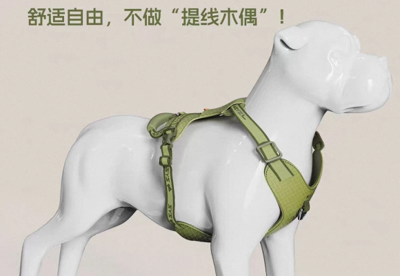 狗狗出门不听话怎么办？在野在乐Zwild助力职场人高效遛狗解压