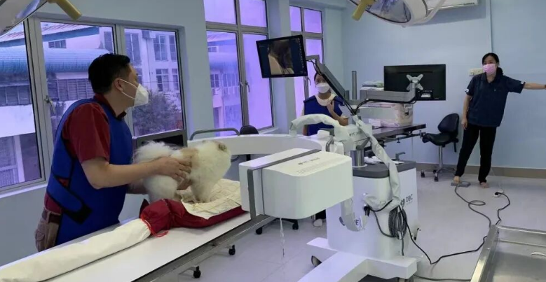 宠物影像顶流入驻!西瓜小镇庞各庄打造京南宠物医疗硅谷 宠物影像顶流入驻!西瓜小镇庞各庄打造京南宠物医疗硅谷