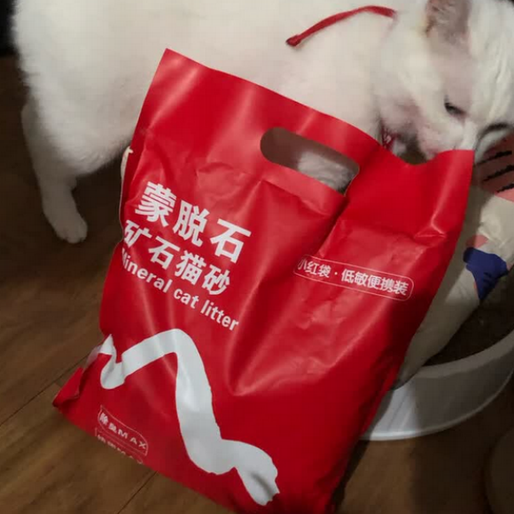 哪个膨润土猫砂好?卓尔精灵小红袋,居家养猫告别粉尘困扰 哪个膨润土猫砂好?卓尔精灵小红袋,居家养猫告别粉尘困扰