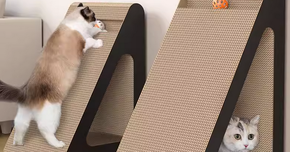 磨爪猫爬架实用吗