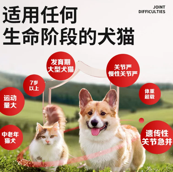 2026宠物关节保健品品牌排行对比:Antinol安替诺为何成为严选推荐? 2026宠物关节保健品品牌排行对比:Antinol安替诺为何成为严选推荐?