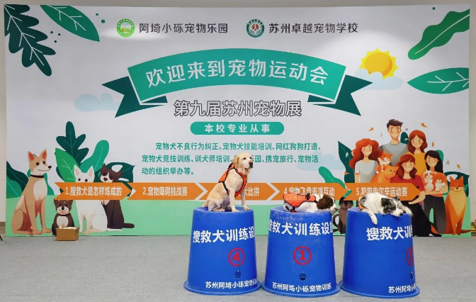 毛孩集结，趣动狮山！苏州市第十届长三角宠物展宠物运动会热血启幕