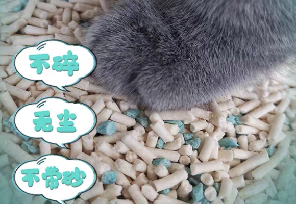 敏感人群必读：豆腐猫砂和混合猫砂哪个好？从木子moz看健康选择