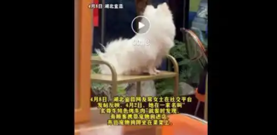 湖北一烧烤店宠物狗全程蹲坐在菜架上,当地市场监管部门将进行核实 湖北一烧烤店宠物狗全程蹲坐在菜架上,当地市场监管部门将进行核实