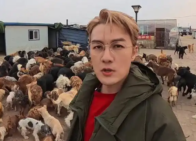 美的携手吴克群奔赴一场生命之约:让守护流浪动物的“英雄”不再孤单 美的携手吴克群奔赴一场生命之约:让守护流浪动物的“英雄”不再孤单