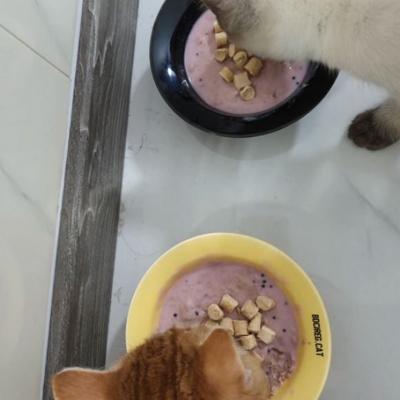 主食级营养湿粮推荐：相生之宠浓汤罐，全阶段猫咪通用