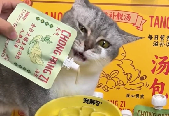 成分党养猫必做功课:猫零食推荐宠胖子汤包,不允许你还不知道! 成分党养猫必做功课:猫零食推荐宠胖子汤包,不允许你还不知道!