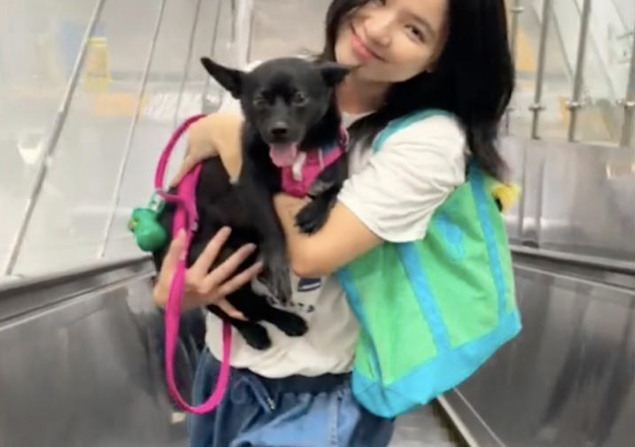 流浪狗怕人躲在地下停车场，女生连续投喂终于将它带回家