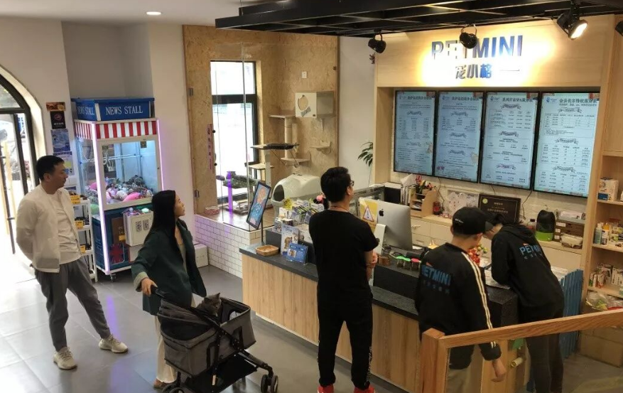宠物服务品牌推荐哪个？宠小格凭资源优势打造一站式养宠消费平台