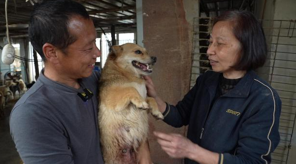 杭州六旬女士坚守德清基地七年，救助四百条流浪猫狗：如今快喂不起了