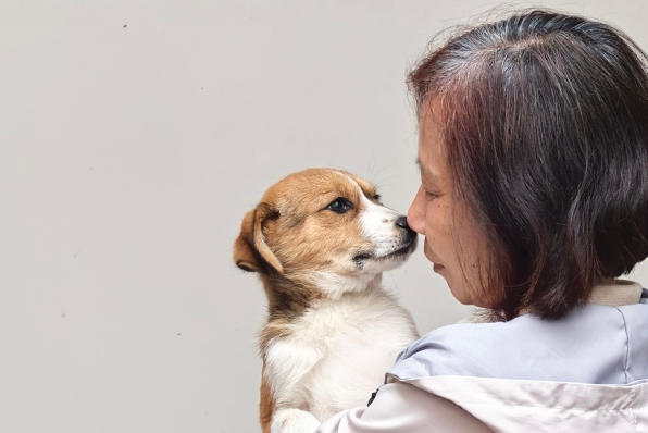 杭州六旬女士坚守德清基地七年，救助四百条流浪猫狗：如今快喂不起了