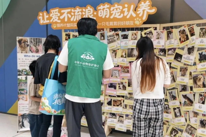 为爱宣讲，与善同行｜中国小动物保护协会走进阿里巴巴园区