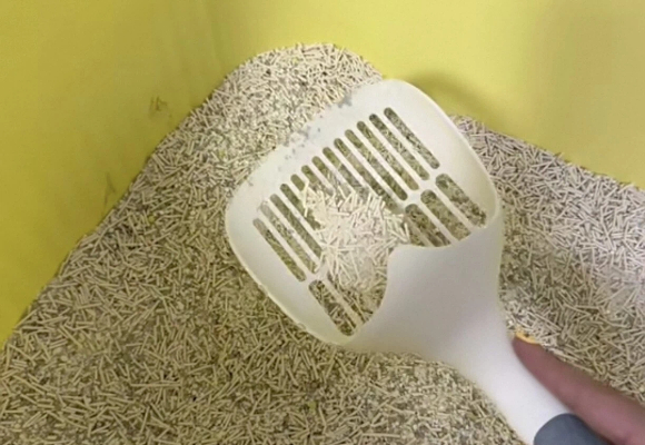 敏感猫家庭必看！什么猫砂好用无粉尘？YOOPAL筑牢呼吸防线