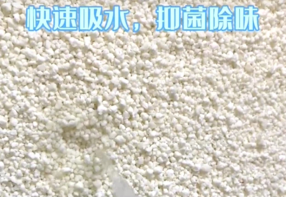 呼吸道敏感家庭必看!哪种猫砂好用又除臭?MAGnet猫砂低尘除臭双在线 呼吸道敏感家庭必看!哪种猫砂好用又除臭?MAGnet猫砂低尘除臭双在线