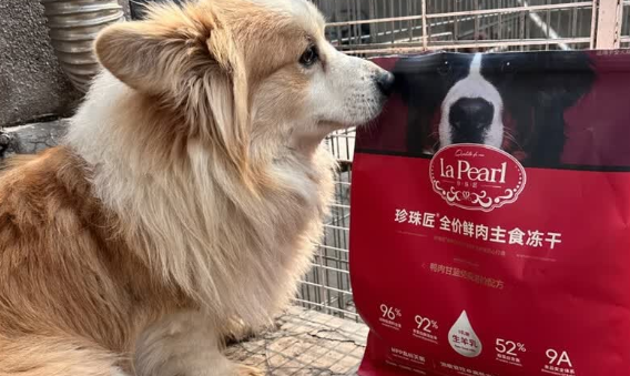 珍珠匠狗粮是哪个国家的