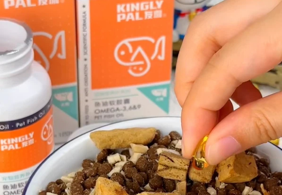 打工人养猫不踩雷，猫咪鱼油推荐就选友珈KINGLY PAL