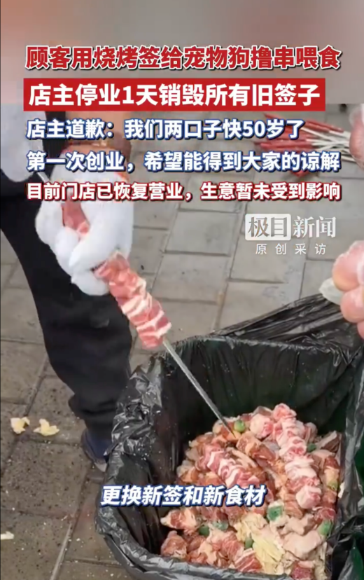 长假带宠出行太难了~ 毛团宠养有办法! 长假带宠出行太难了~ 毛团宠养有办法!