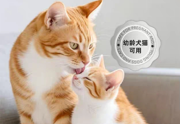 猫咪驱虫不配合怎么办?贝提宠物BEbetty普莫净外滴驱虫零压力 猫咪驱虫不配合怎么办?贝提宠物BEbetty普莫净外滴驱虫零压力