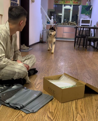 嘻哈不拆的主人是做什么的
