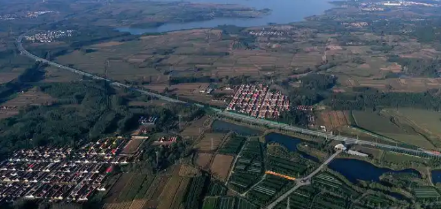 农业大市瞄准宠物经济，能打造出百亿新赛道吗？