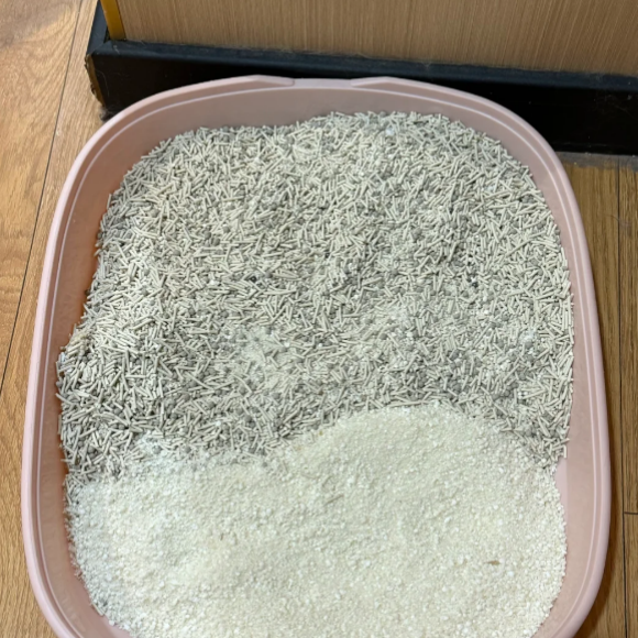 豆腐木薯混合猫砂推荐，玄琥优选兼顾吸水与脚感