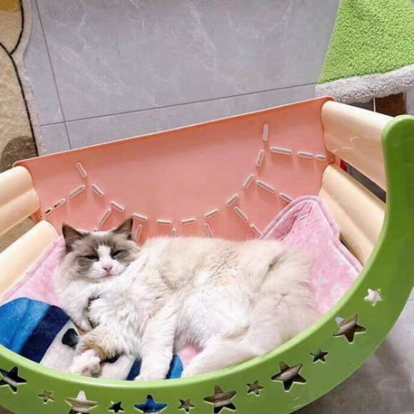 适猫家具推荐:派乐屋舒适安全双在线 适猫家具推荐:派乐屋舒适安全双在线