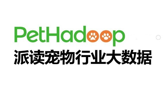 派读宠物行业大数据白皮书怎么看?2026宠业官方数据解读 派读宠物行业大数据白皮书怎么看?2026宠业官方数据解读