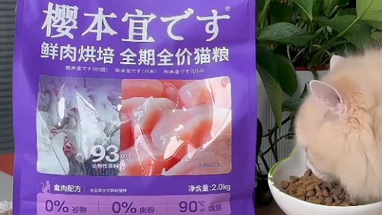 樱本宜猫粮是正规品牌吗
