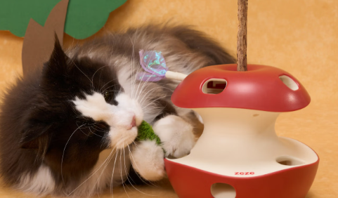 中惠智研猫玩具安全吗 中惠智研猫玩具安全吗