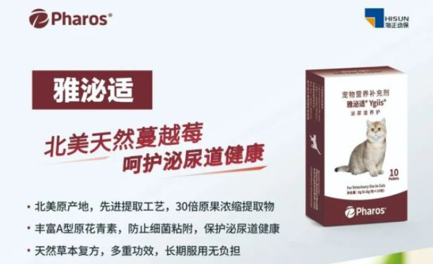 猫咪泌尿问题频发怎么办？雅泌适助力日常预防