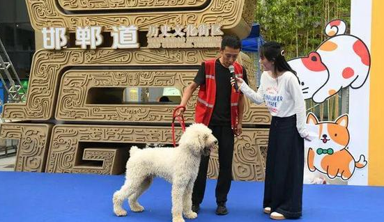 细雨难挡热情!“邯郸端午城市治愈生活节”圆满落幕 细雨难挡热情!“邯郸端午城市治愈生活节”圆满落幕