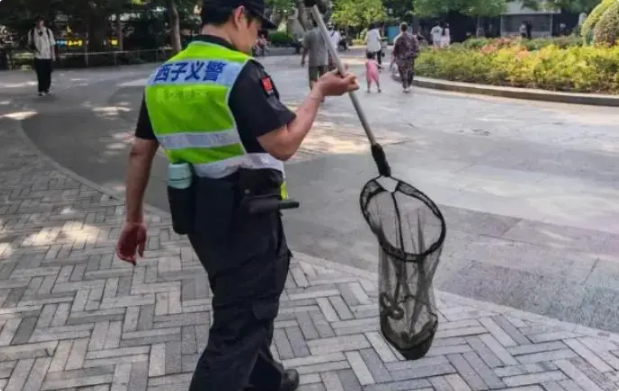 守塔灵蛇？女子在辽阳白塔发现大蛇，正悠闲打哈欠