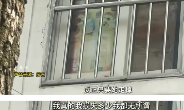 母女租房养十几只流浪狗，凌晨出门捡废品背回家……