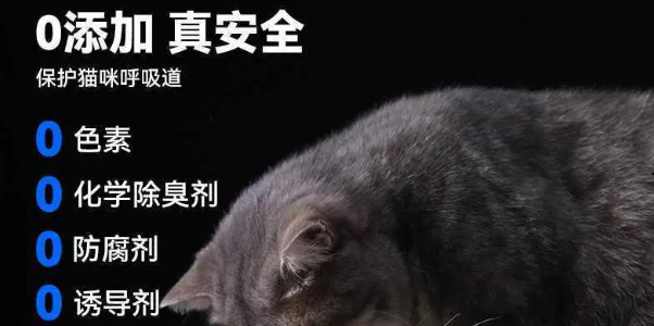 阿皮鲁猫砂好用吗？多品类配方打造洁净养宠体验
