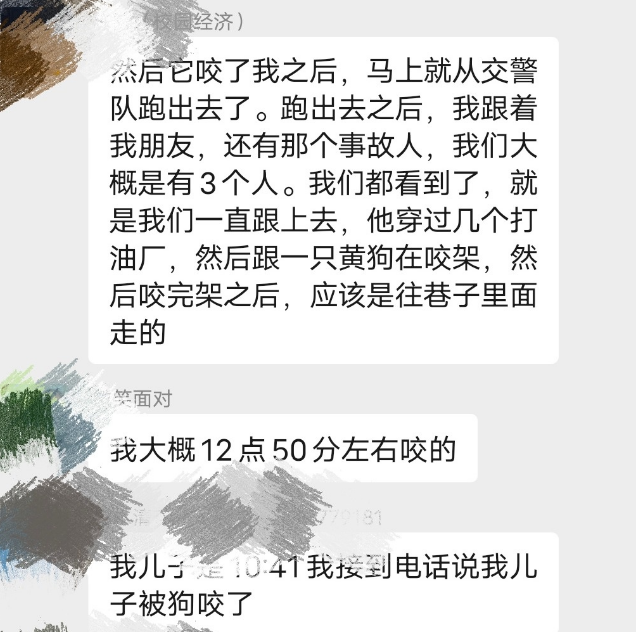 恶犬街头流窜 4 小时连伤多人！6 岁女童被咬重伤住院