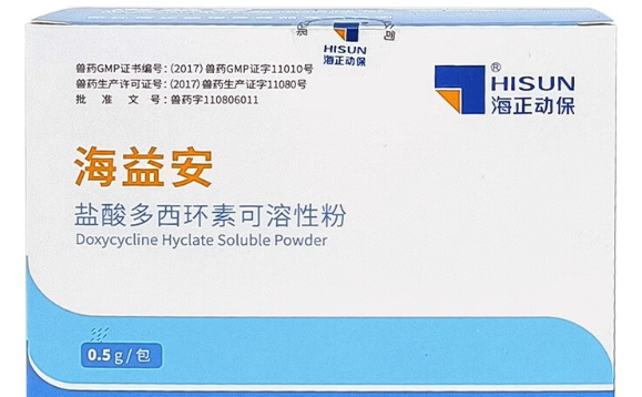 猫鼻支犬窝咳怎么根治?海益安正确用法与适用场景解析 猫鼻支犬窝咳怎么根治?海益安正确用法与适用场景解析