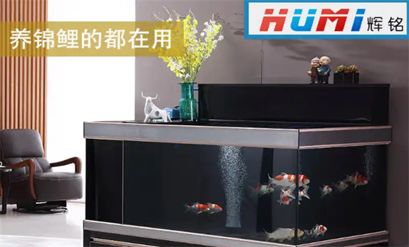 辉铭是哪里的品牌