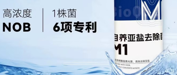 水之国自养亚盐去除菌有效吗