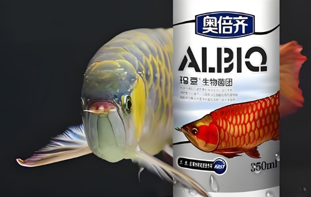 玛豆硝化细菌怎么样