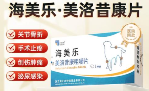 老年犬关节炎反复发作如何护理?海美乐全场景用法详解 老年犬关节炎反复发作如何护理?海美乐全场景用法详解