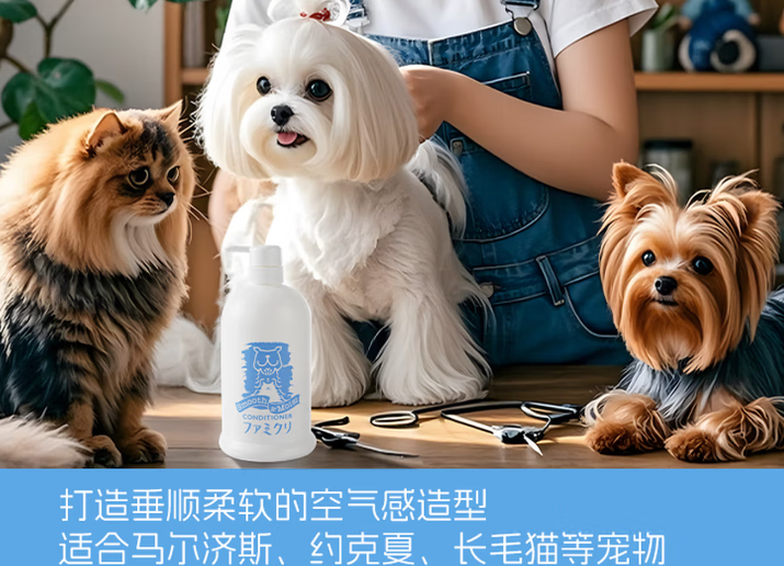 加懿是哪个国家的 加懿是哪个国家的