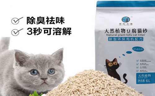 南巷北猫