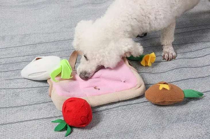 海多格狗狗互动藏零食玩具怎么样