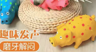 爱派特AIPET宠物毛绒玩具好清洗吗