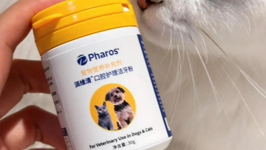 狗狗牙齿怎么清理干净？派维清牙洁粉靠谱，好用！