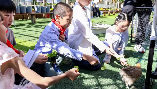 校园变萌宠乐园！学生携自家萌宠空降学校宠物节