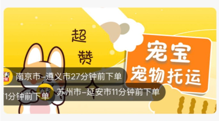 宠宝科技巴士宠物托运可靠吗