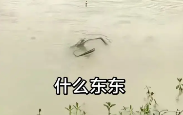 洪水过后,广东男子钓到巨虾,水中挥舞虾钳似“怪物”! 洪水过后,广东男子钓到巨虾,水中挥舞虾钳似“怪物”!