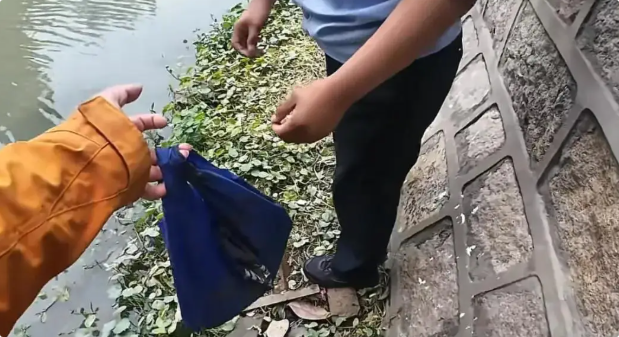 上海男子在臭水沟钓到娃娃鱼!吓得果断报警移交 上海男子在臭水沟钓到娃娃鱼!吓得果断报警移交